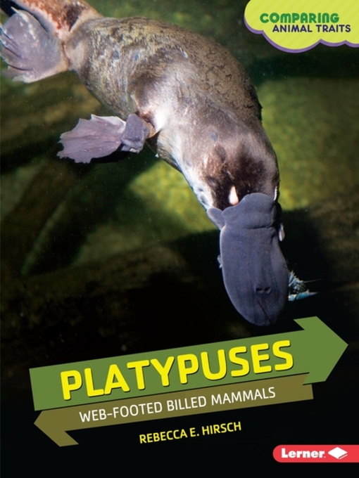 Upplýsingar um Platypuses eftir Rebecca E. Hirsch - Biðlisti